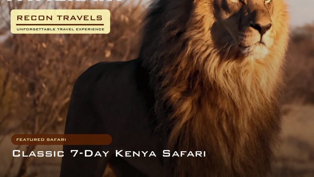 9-Day Kenya Bush to Beach Safari