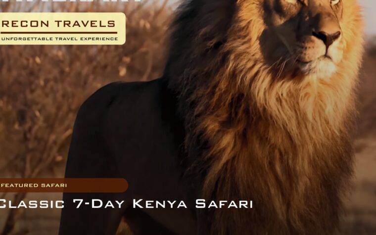 Classic Kenya Safari