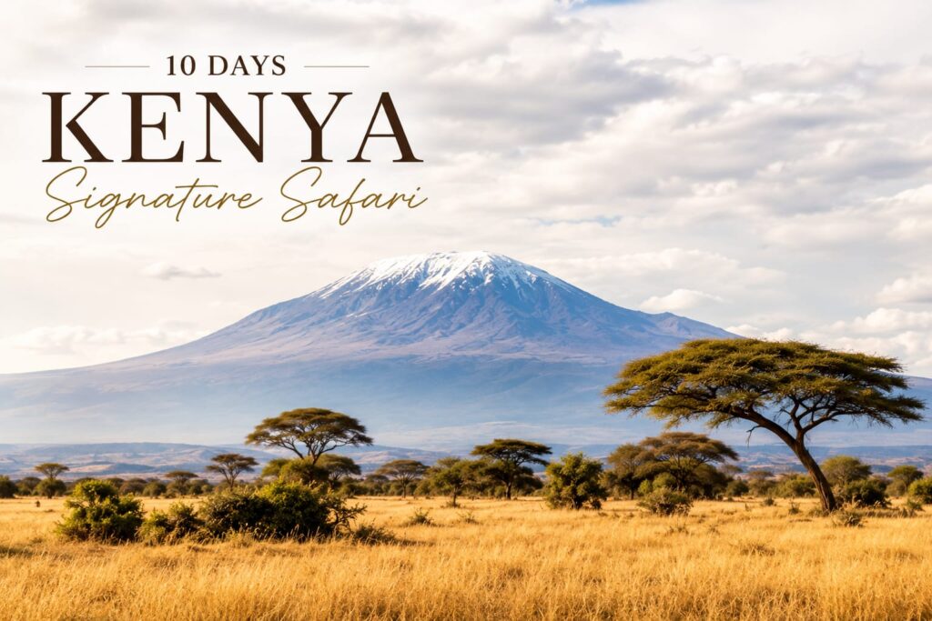 14-Day Laikipia, Mara, Serengeti & Lake Manyara Safari