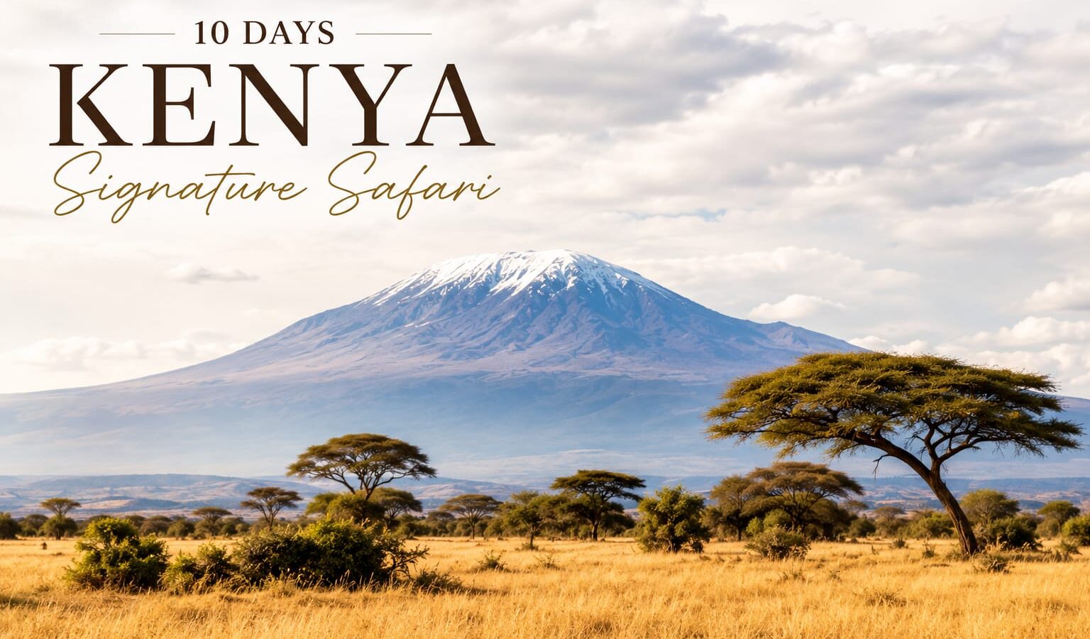 10 Days Kenya Signature Safari | Samburu, Ol Pejeta, Aberdare, Lake Naivasha & Masai Mara