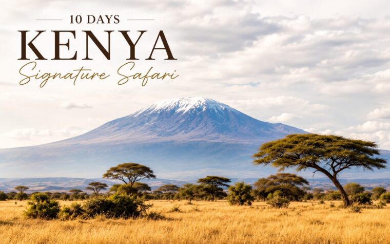 10 Days Kenya Signature Safari | Samburu, Ol Pejeta, Aberdare, Lake Naivasha & Masai Mara