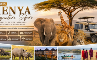 Luxury lodge or tented camp near Nairobi
